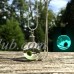 Glow In The Dark Marimo Moss Ball Necklace Live Terrarium Necklace Wearable Plant Necklace Plant Fashion Accessories, Handmade wearable live Marimo Moss necklace contains.., By Micro Landscape Design   